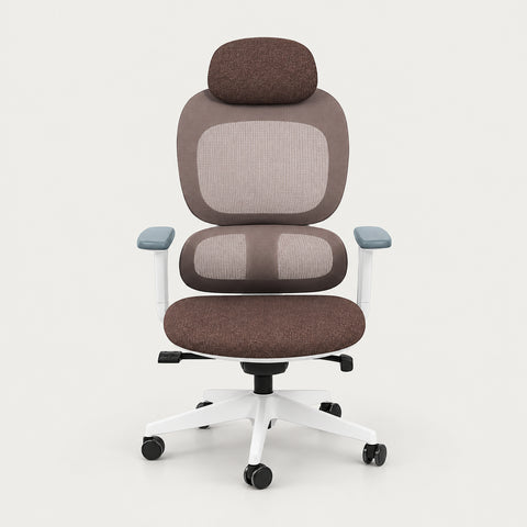 Mesh Ergonomic Office Chair with Breathable Mesh & Lumbar Support for Executive Office